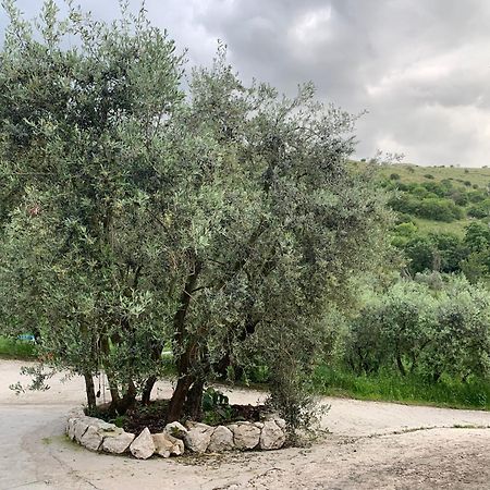 Agriturismo Torre Ercolana Анани Екстериор снимка