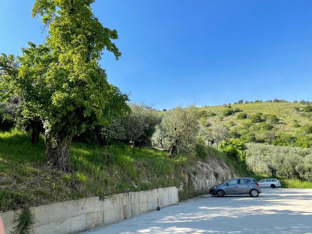 Agriturismo Torre Ercolana Анани Екстериор снимка